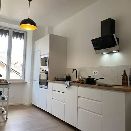 Le Condorcet. Charme Et Confort A Championnet Grenoble Exterior foto